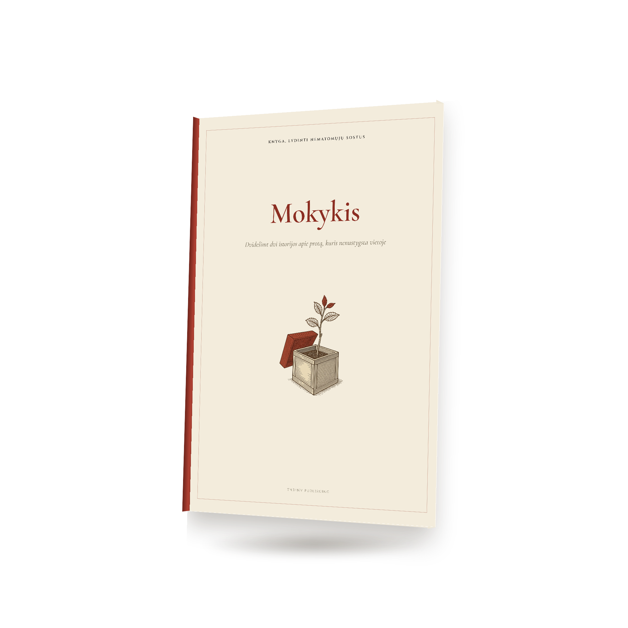 Mokykis